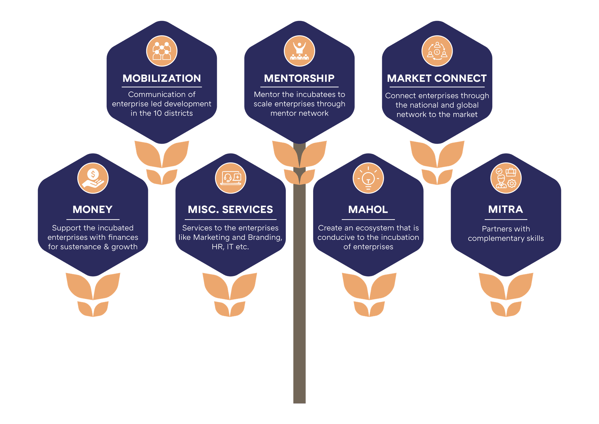 7M Incubation Process